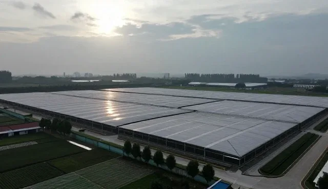 免费注册网站如何重塑商机撮合模式