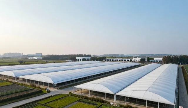 信息整合业务发展趋势中的常见误区澄清