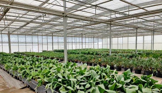 企业名录选型中的关注点与使用建议