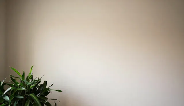 集合行业资讯:供应采购服务应用场景分析